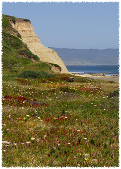 Enlarge photo 148