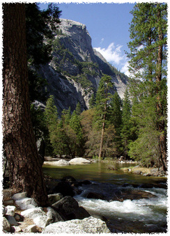 Enlarge photo 156