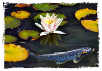 Enlarge photo 125