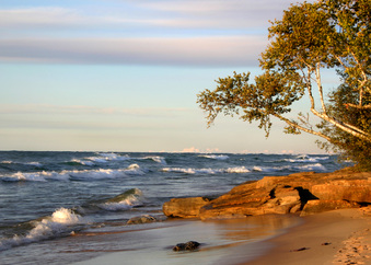 Enlarge photo 7
