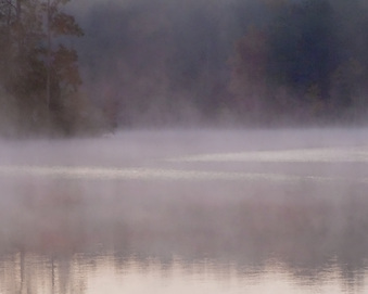 Enlarge photo 153