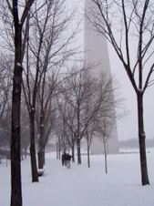 Enlarge photo 83