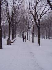 Enlarge photo 84