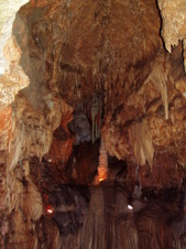 Enlarge photo 66