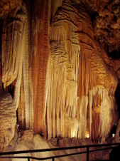 Enlarge photo 67
