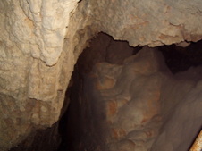 Enlarge photo 71