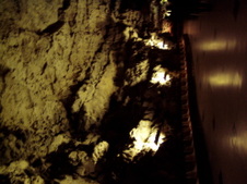 Enlarge photo 72