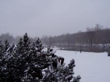 Enlarge photo 77
