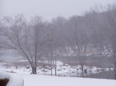 Enlarge photo 78
