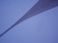 Enlarge photo 106