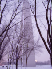 Enlarge photo 108