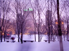 Enlarge photo 109
