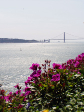 Enlarge photo 90