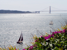 Enlarge photo 91