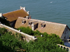 Enlarge photo 92