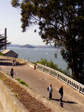 Enlarge photo 93