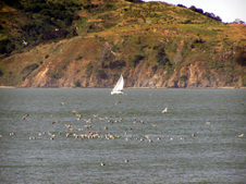 Enlarge photo 97