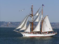 Enlarge photo 98