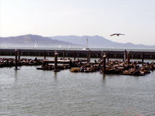 Enlarge photo 148