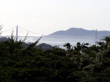 Enlarge photo 824