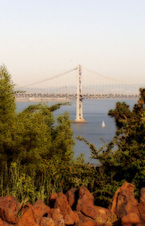 Enlarge photo 841
