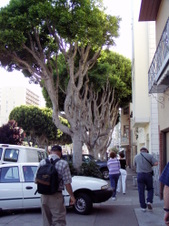 Enlarge photo 845