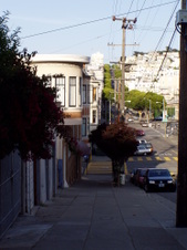 Enlarge photo 852