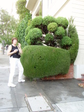 Enlarge photo 855