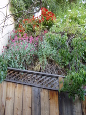 Enlarge photo 858