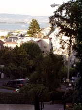 Enlarge photo 876