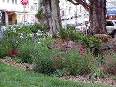 Enlarge photo 884