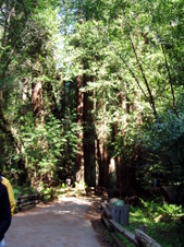 Enlarge photo 187