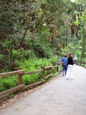 Enlarge photo 188
