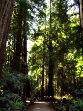 Enlarge photo 190