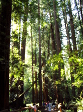 Enlarge photo 192