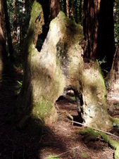Enlarge photo 193