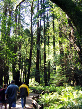 Enlarge photo 194