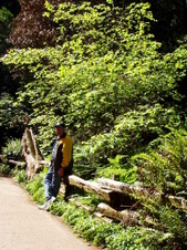 Enlarge photo 195