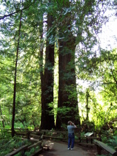 Enlarge photo 197