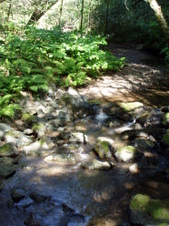 Enlarge photo 199