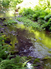 Enlarge photo 200