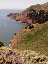 Enlarge photo 72