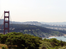 Enlarge photo 73