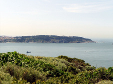Enlarge photo 74