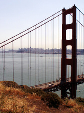 Enlarge photo 78