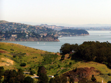 Enlarge photo 80