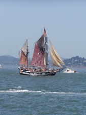 Enlarge photo 160