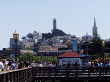 Enlarge photo 170