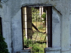 Enlarge photo 109