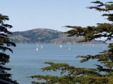 Enlarge photo 120